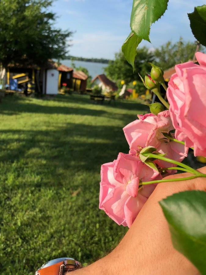 Angelinin Konak Negotin Exteriör bild