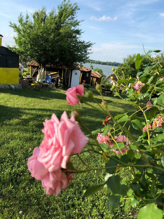 Angelinin Konak Negotin Exteriör bild